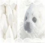 CatChopsticks Group Thumbnail