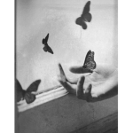 Broken_pia