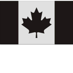 Canadian Armed Forces ( C A F )