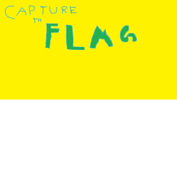 Capture the flag!