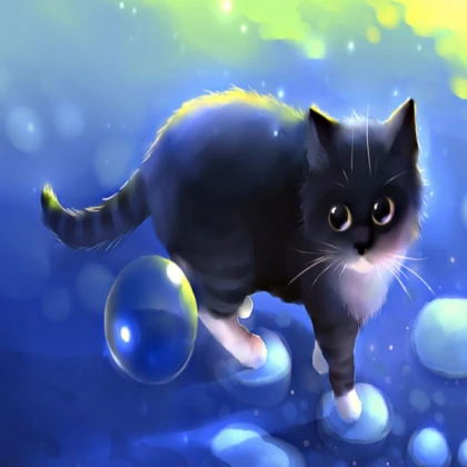 cute cat
