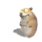 Zoom Blur Chomik