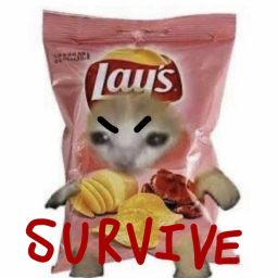 Survive El Gato the Killer!!!!