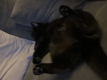 Kittyyyyyyyyyuhhhhh