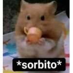 Las Ratitas Crakiadas