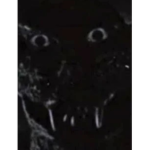 Kaiju ex