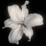 unidentified,