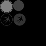 applekour closed playtest