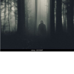 Forest of the Nightmare[UPDATE]