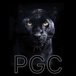 Panthers Gymnastics Club V1