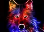 xxninja_warrior,s group