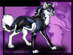 Female wolf group