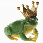 fr0ggy army <3