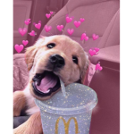 *~ MillyKat ~*