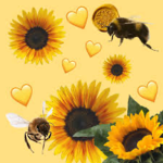 Bees And Sunflower