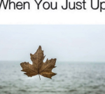 rrobloxians