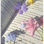 bookish~hangout