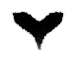 DEDIUS