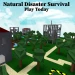 Natural Disaster Survival icon