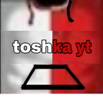 toshkaYT fans