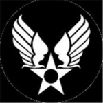 |DF| Delta Security Service