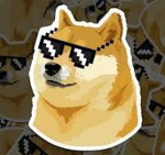 cute lil doge