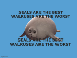 Group of the Seals