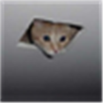 I BELIEVES IN CEILING CAT!