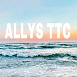 Ally's TTC (UNFINISHED)