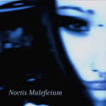 Noctis Maleficium