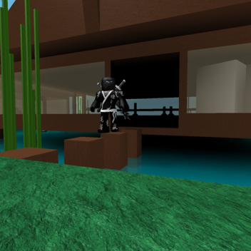 Ninja's Destiny (NEW)