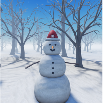 snowy place 