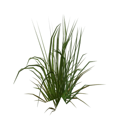 Tall Grass 2