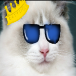 Miss_meme2010
