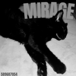 ＭＩＲＡＧＥ