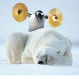 PENGUINS ONLY SQUAD