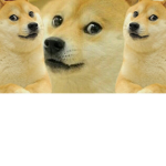 Doge Army Of The World!