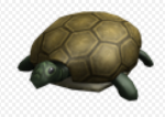 Turtle army!!!.