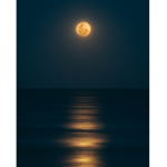 .+ Moonlights +.