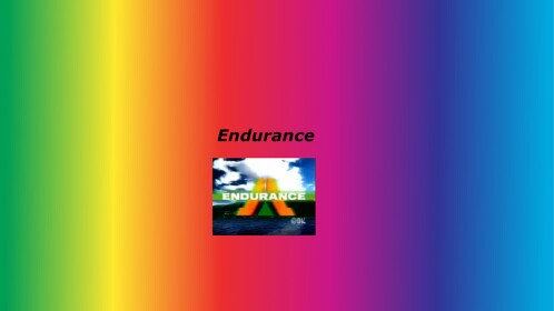  Endurance: What up Edition