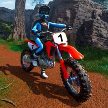 [🔥PIT BIKES, MTB, BMX] MX WORLD