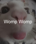 WompStudios