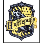 Hufflepuff Group ;)