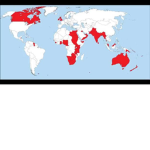 Reem empire