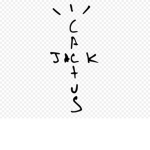 ψ Cactus Jack Entertainment ψ