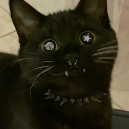 ⋆｡°✩