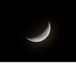 Clan of the Cresent Moon