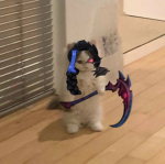 Amigos do Rhaast