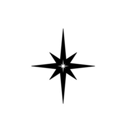 ˚✧