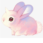 The unicorn bunny team